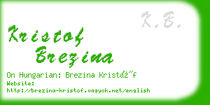 kristof brezina business card